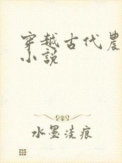 穿越古代农家女小说