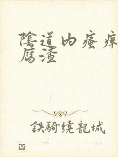 阴道内瘙痒有豆腐渣