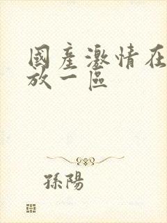 国产激情在线播放一区