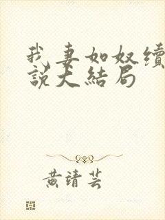 我妻如奴续写小说大结局