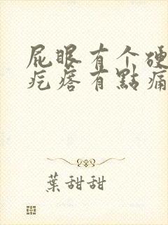 屁眼有个硬硬的疙瘩有点痛