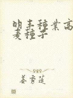 明丰种业高产小麦种子