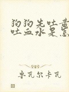 狗狗先吐黄水后吐血水是怎么回事