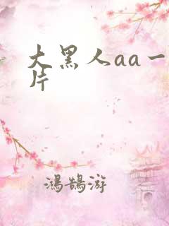 大黑人aa一级片