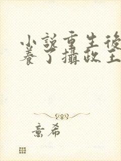 小说重生后我娇养了摄政王小说