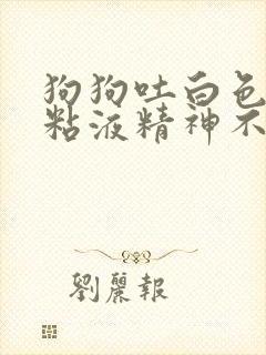 狗狗吐白色泡沫粘液精神不好