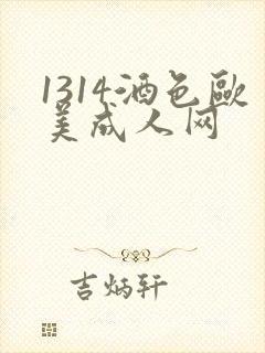 1314酒色欧美成人网
