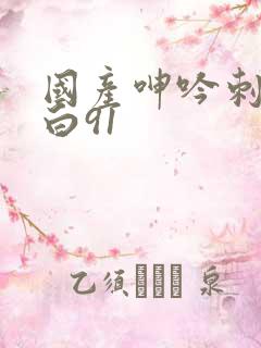 国产呻吟刺激对白91