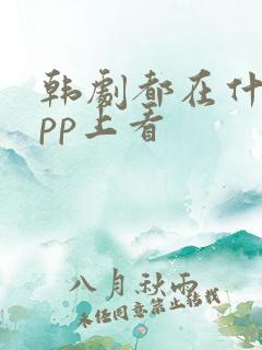 韩剧都在什么app上看