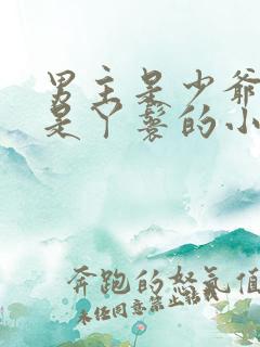 男主是少爷女主是丫鬟的小说