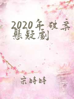 2020年破案悬疑剧