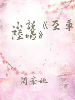 小说《至尊神殿陆鸣》