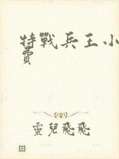 特战兵王小说免费