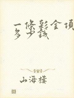 一条彩金项链卖多少钱