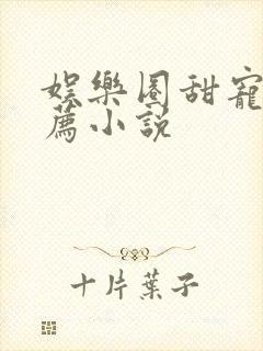 娱乐圈甜宠文推荐小说