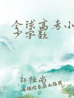 全球高考小说多少字数