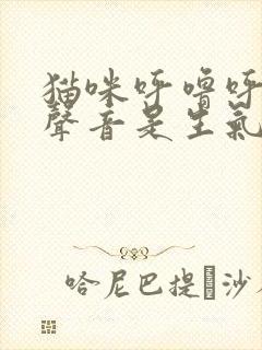 猫咪呼噜呼噜的声音是生气还是高兴