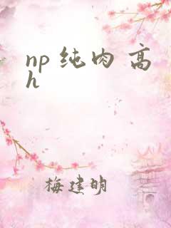 np 纯肉 高h