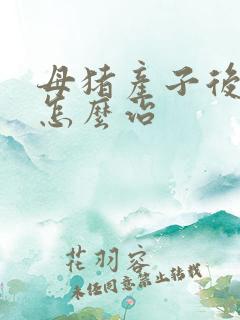 母猪产子后便秘怎么治