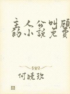 主人公叫顾北弦的小说免费阅读