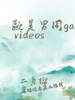 欧美男同gay videos
