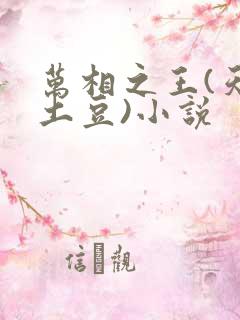 万相之王(天蚕土豆)小说
