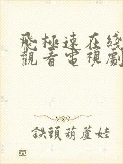 飞极速在线免费观看电视剧