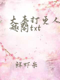 大奉打更人 笔趣阁txt