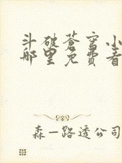 斗破苍穹小说在哪里免费看