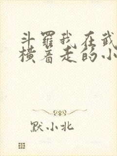 斗罗我在武魂殿横着走的小说