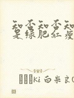 知否知否知否应是绿肥红瘦在线看