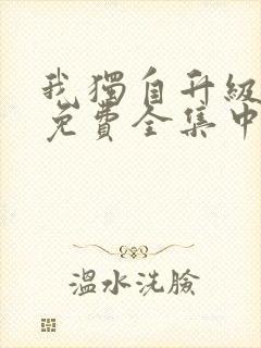 我独自升级动漫免费全集中文版