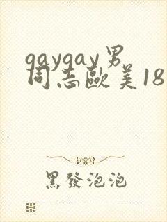 gaygay男同志欧美18