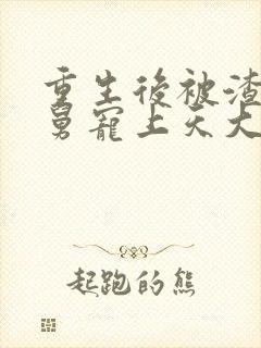 重生后被渣男舅舅宠上天大结局