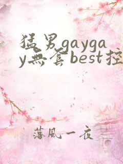 猛男gaygay无套best控精