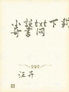 小说txt下载奇书网