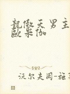 龙傲天男主是个欧米伽