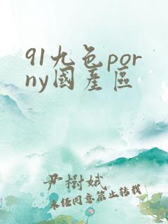 91九色porny国产区