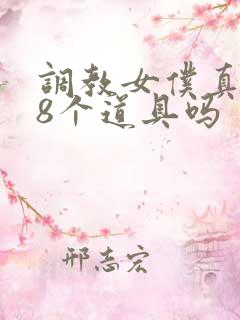 调教女仆真有第8个道具吗