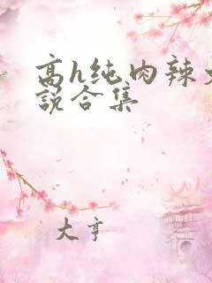 高h纯肉辣文小说合集