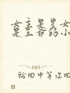 女主是农女男主是王爷的小说