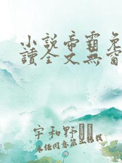 小说帝霸免费阅读全文无窗口