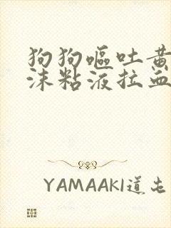 狗狗呕吐黄水泡沫粘液拉血