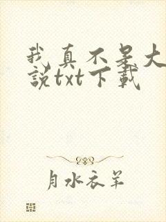 我真不是大佬小说txt下载