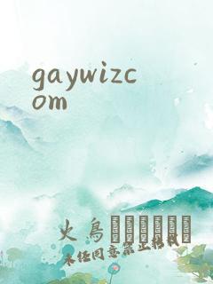 gaywizcom