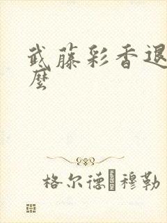 武藤彩香退役了么