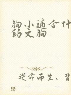 胸小适合什么样的文胸