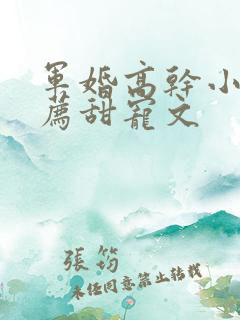 军婚高干小说推荐甜宠文