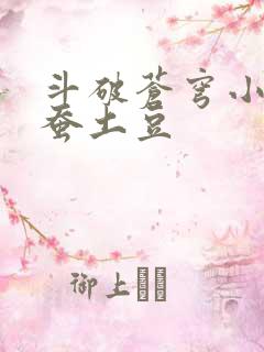 斗破苍穹小说天蚕土豆