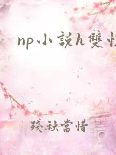 np小说h双性